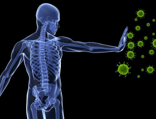 Relación del sistema inmunitario y la masa muscular ¿Protector contra la COVID-19?