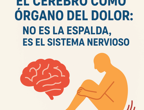 El cerebro como órgano del dolor: no es la espalda, es el sistema nervioso