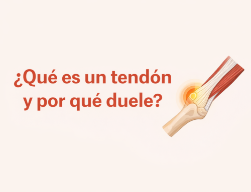 ¿Qué es un tendón y por qué duele?
