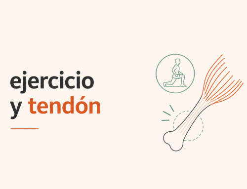 Ejercicio y tendón