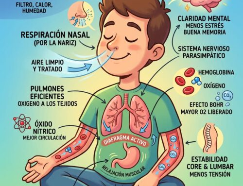 Respirar por la nariz: El hábito olvidado que puede cambiar cómo funciona tu cuerpo