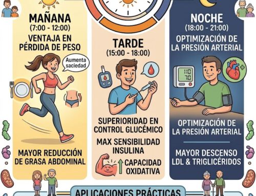 ¿Cuál es la mejor hora del día para hacer Ejercicio Físico?