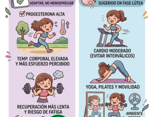 Ciclo menstrual y Ejercicio (Parte 2)
