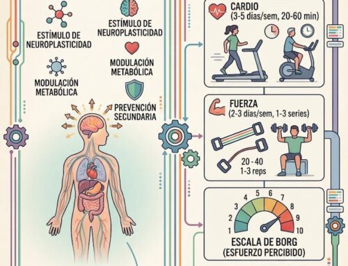 Reconstruir la vida tras el ictus: El papel neurobiológico y funcional del ejercicio adaptado