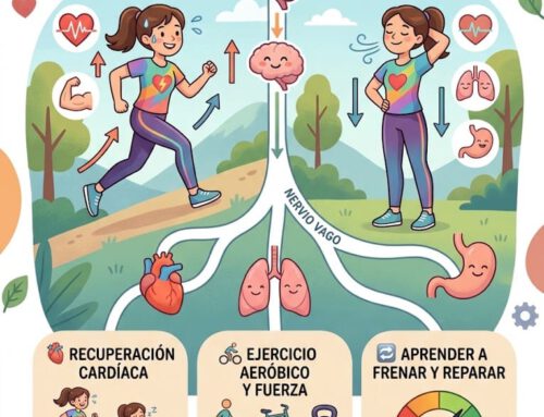 El Nervio Vago (parte 2): cómo entrenar puede ayudar a regular todo nuestro organismo